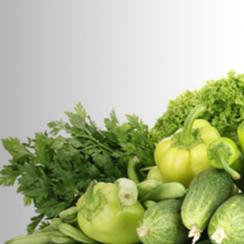 Fresh Green Vegetables